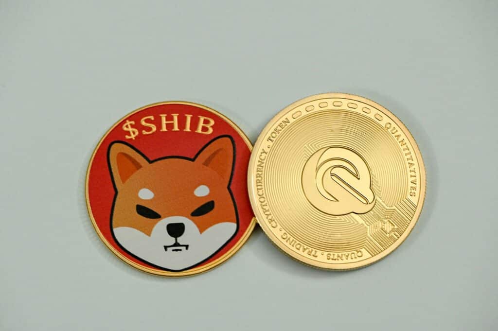 shiba-inu-coin-review