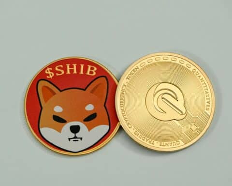 shiba-inu-coin-review